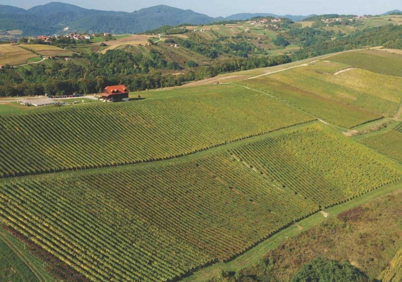 Rooms Bolfan Vinski Vrh Hrašćina Esterno foto